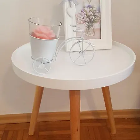 Studio Apartman Katarina Liznjan